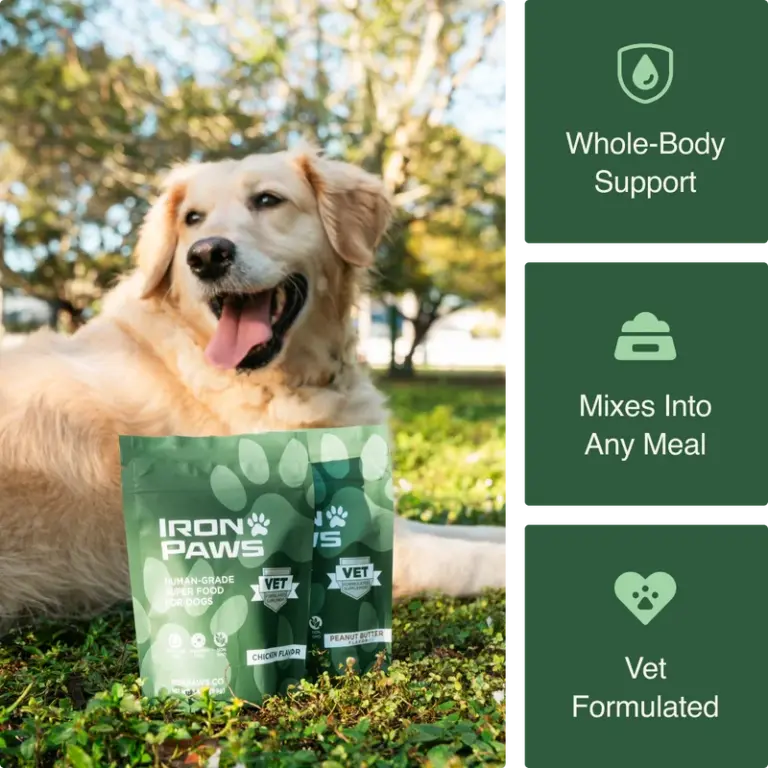 Human Grade Super Food for Dogs, photo 1 of 3