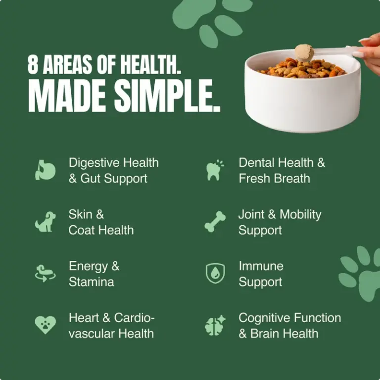 Human Grade Super Food for Dogs, photo 3 of 3